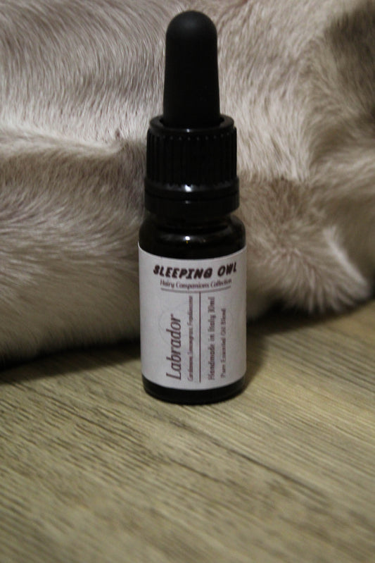 Labrador Oil Blend